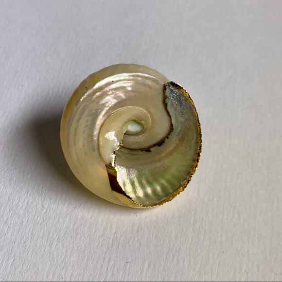 ⭐️Gold Plated Shell ⭐️ - Picture 4 of 8